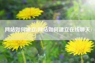 网站如何建立(网站如何建立在线聊天)