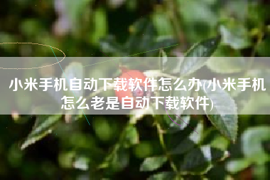 小米手机自动下载软件怎么办(小米手机怎么老是自动下载软件)