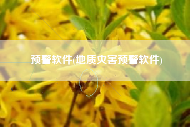 预警软件(地质灾害预警软件)
