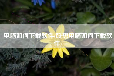 电脑如何下载软件(联想电脑如何下载软件)