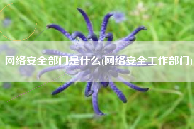 网络安全部门是什么(网络安全工作部门)