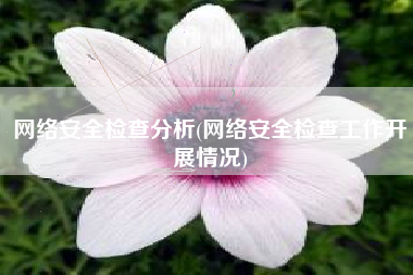 网络安全检查分析(网络安全检查工作开展情况)
