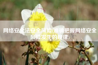 网络安全法安全风险(准确把握网络安全风险发生的规律)
