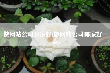 做网站公司哪家好(做网站公司哪家好一点)
