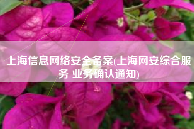 上海信息网络安全备案(上海网安综合服务 业务确认通知)