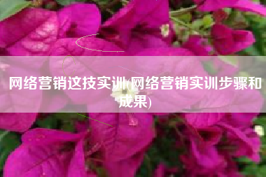 网络营销这技实训(网络营销实训步骤和成果)