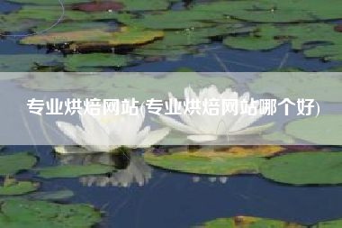 专业烘焙网站(专业烘焙网站哪个好)