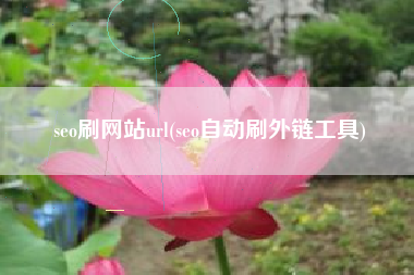 seo刷网站url(seo自动刷外链工具)