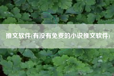 推文软件(有没有免费的小说推文软件)
