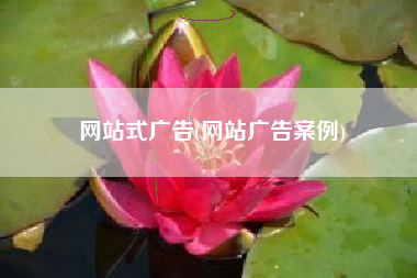 网站式广告(网站广告案例)