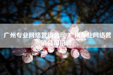 广州专业网络营销公司(广州专业网络营销公司招聘)