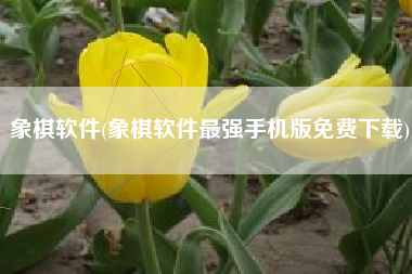 象棋软件(象棋软件最强手机版免费下载)
