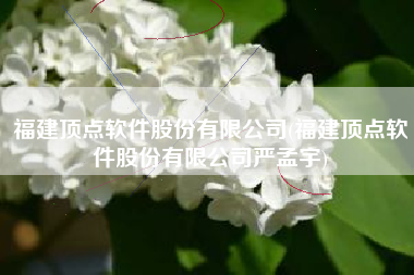 福建顶点软件股份有限公司(福建顶点软件股份有限公司严孟宇)