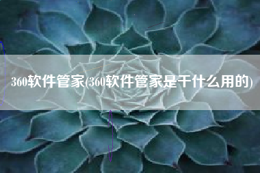 360软件管家(360软件管家是干什么用的)