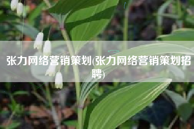 张力网络营销策划(张力网络营销策划招聘)