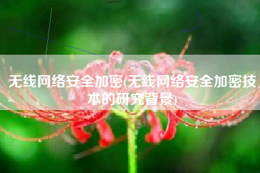 无线网络安全加密(无线网络安全加密技术的研究背景)