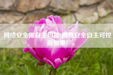 网络安全需自主可控(网络安全自主可控股股票)