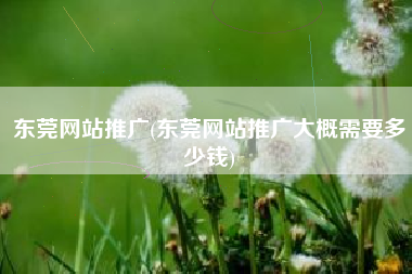 东莞网站推广(东莞网站推广大概需要多少钱)