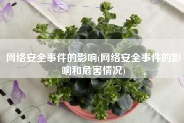 网络安全事件的影响(网络安全事件的影响和危害情况)
