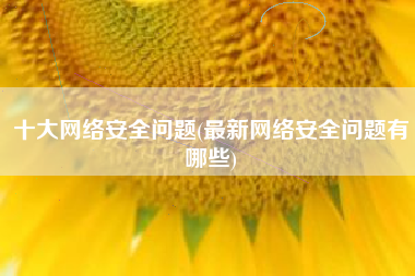 十大网络安全问题(最新网络安全问题有哪些)