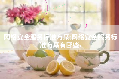 网络安全服务标准方案(网络安全服务标准方案有哪些)