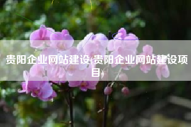 贵阳企业网站建设(贵阳企业网站建设项目)