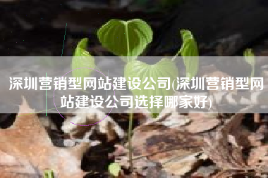 深圳营销型网站建设公司(深圳营销型网站建设公司选择哪家好)