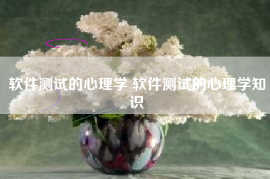 软件测试的心理学 软件测试的心理学知识