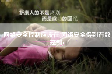 网络安全控制应该在(网络安全得到有效控制)