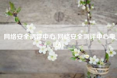网络安全测评中心(网络安全测评中心电话)