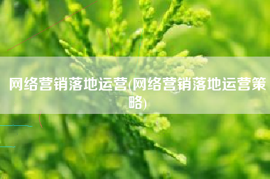 网络营销落地运营(网络营销落地运营策略)