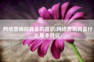 网络营销应具备的意识(网络营销具备什么基本特征)