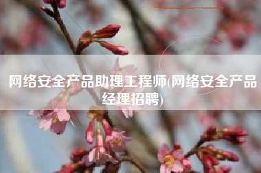 网络安全产品助理工程师(网络安全产品经理招聘)