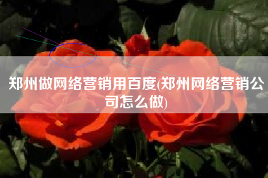 郑州做网络营销用百度(郑州网络营销公司怎么做)