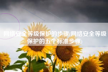 网络安全等级保护的步骤(网络安全等级保护的五个标准步骤)