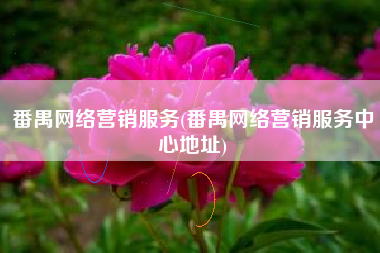 番禺网络营销服务(番禺网络营销服务中心地址)