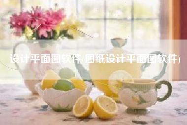 设计平面图软件(图纸设计平面图软件)