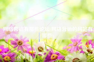 网络营销有那些论坛(网络营销的网站有哪些)