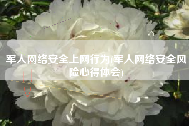 军人网络安全上网行为(军人网络安全风险心得体会)