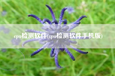 cpu检测软件(cpu检测软件手机版)