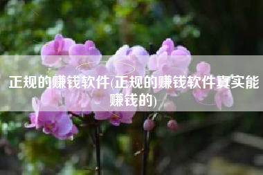 正规的赚钱软件(正规的赚钱软件真实能赚钱的)