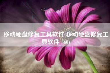 移动硬盘修复工具软件(移动硬盘修复工具软件 360)
