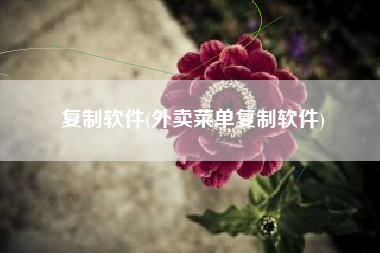 复制软件(外卖菜单复制软件)