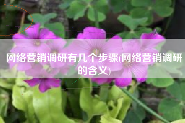 网络营销调研有几个步骤(网络营销调研的含义)