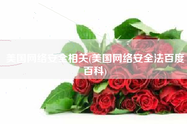 美国网络安全相关(美国网络安全法百度百科)