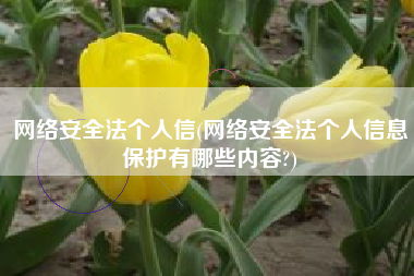 网络安全法个人信(网络安全法个人信息保护有哪些内容?)