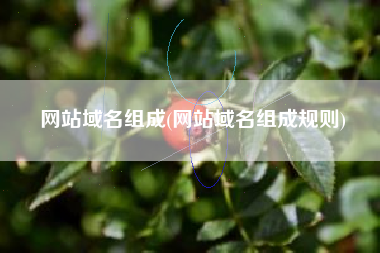 网站域名组成(网站域名组成规则)