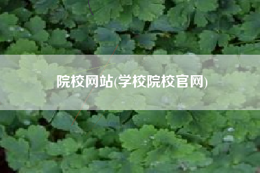 院校网站(学校院校官网)
