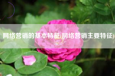 网络营销的基本特征(网络营销主要特征)