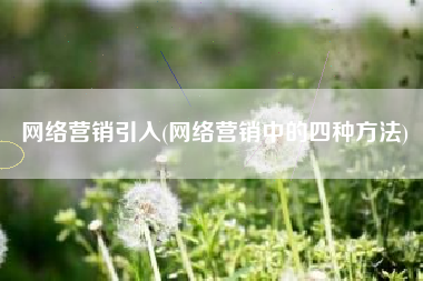 网络营销引入(网络营销中的四种方法)